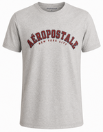 AERO CLASSIC LOGO T-SHIRT TONAL FLOCK 